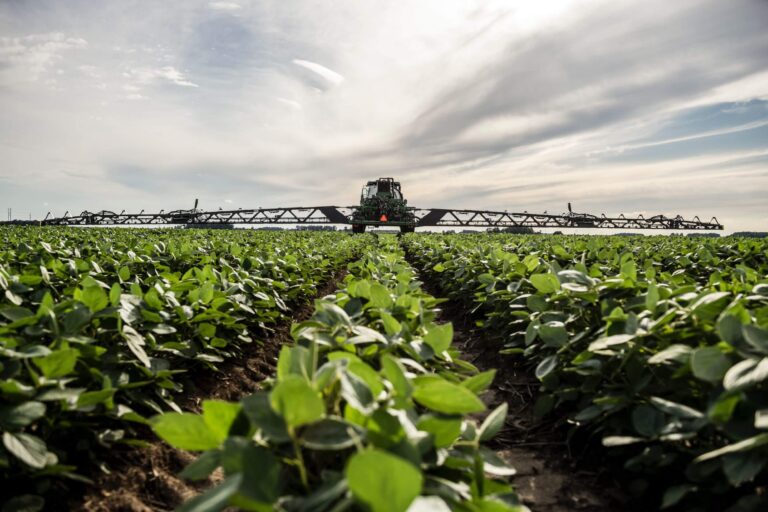See spray technology
