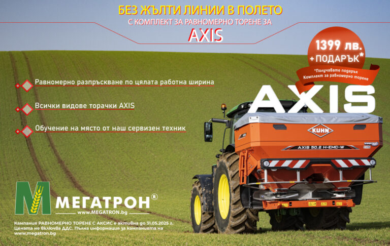 Axis Torene Full Text Visual