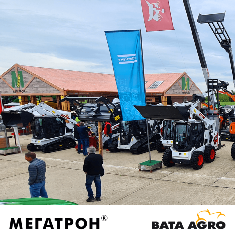 Megatron bata