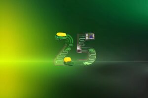 25 years guidance visual landscape